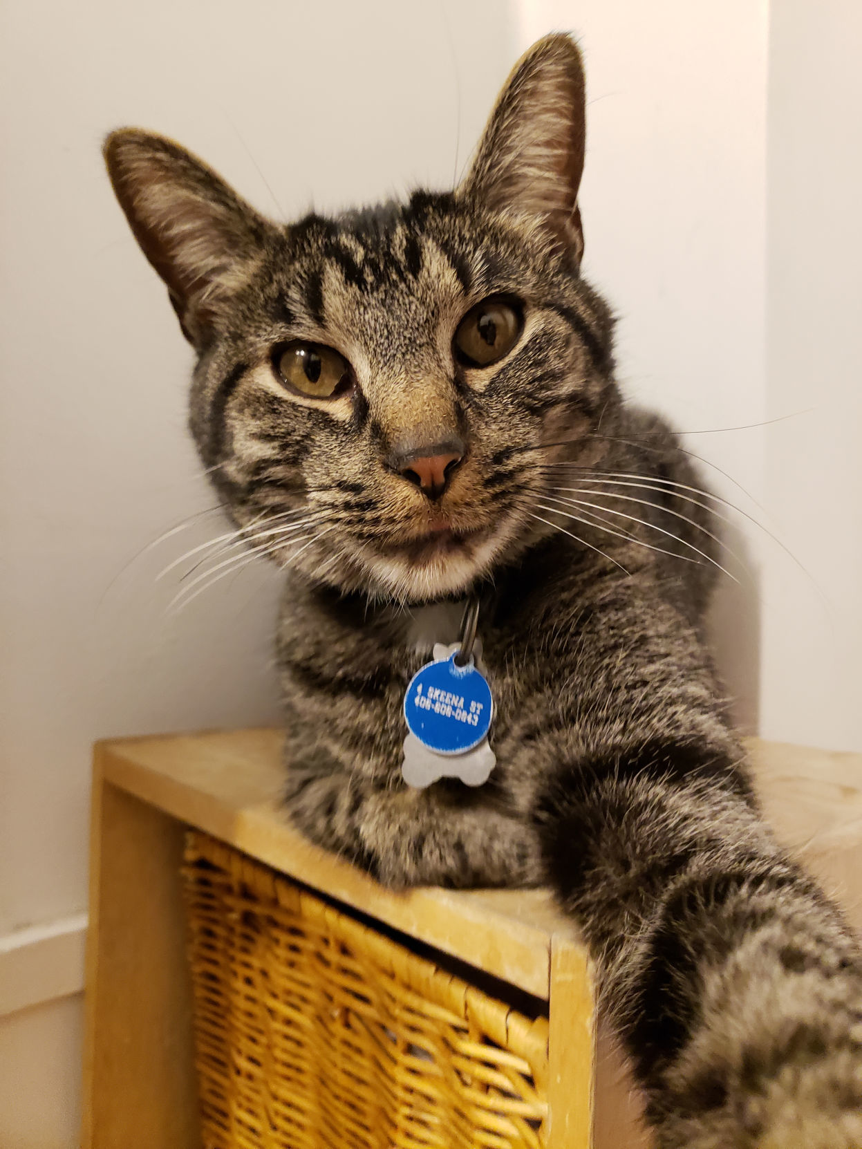 Leo